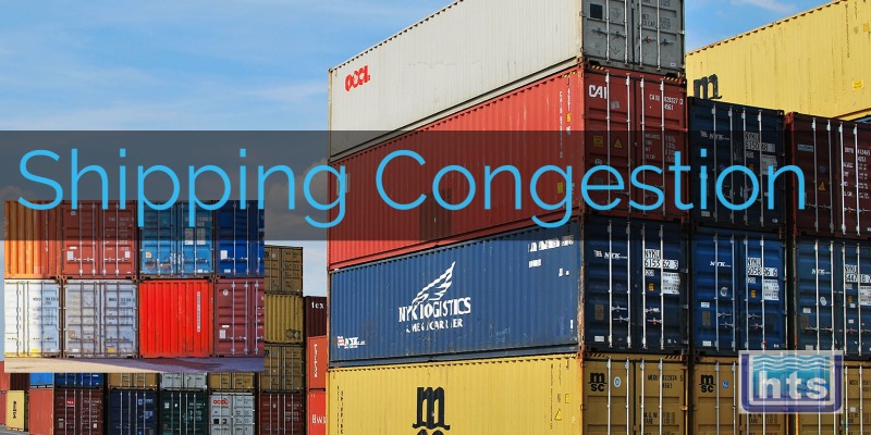 Shipping Congestion Delays